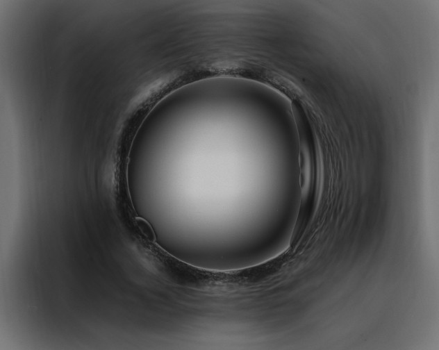 X0000088460732200705221342