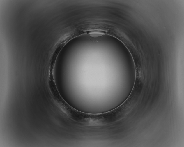 X0000088460733200705221342