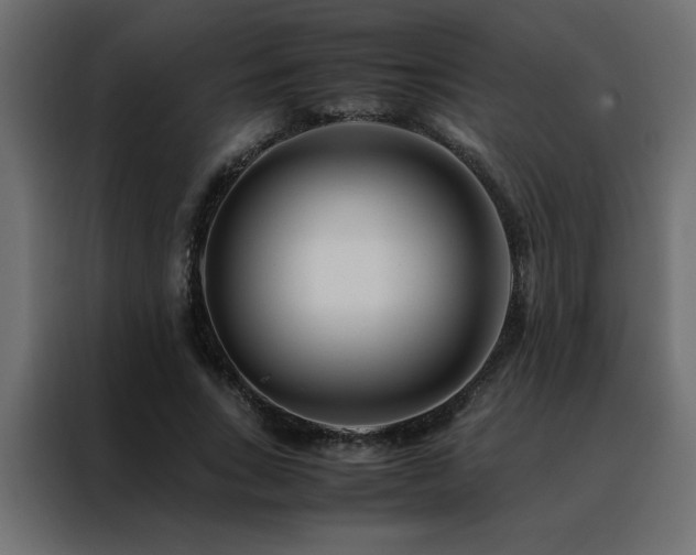 X0000088460735200705221342
