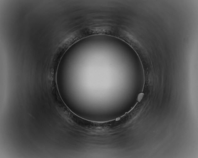 X0000088460737200705221342