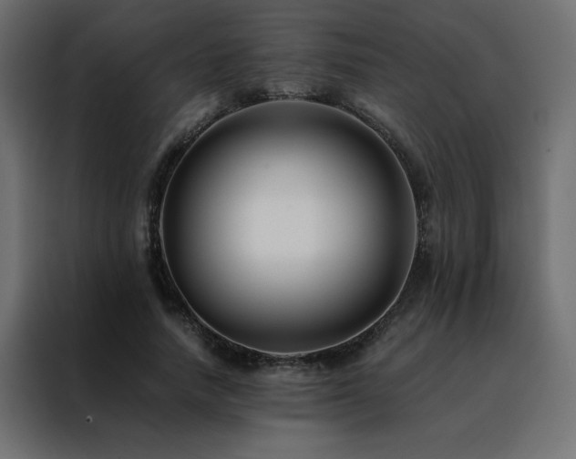X0000088460738200705221342