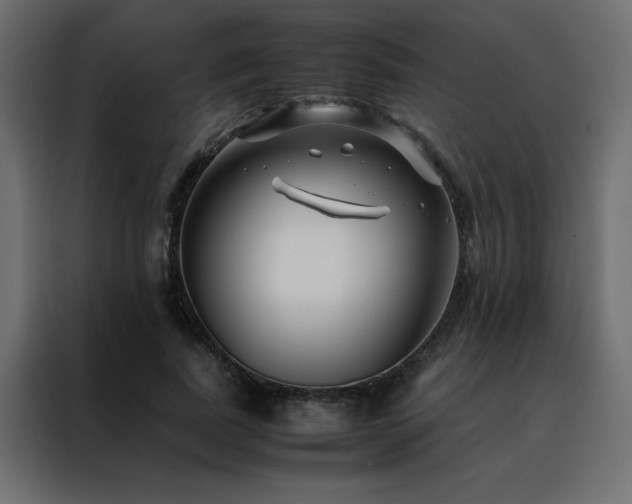 X0000088460739200705221342