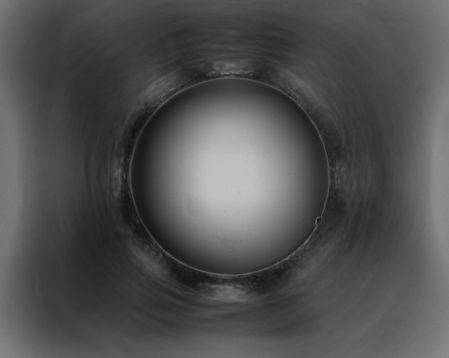 X0000088460741200705221342
