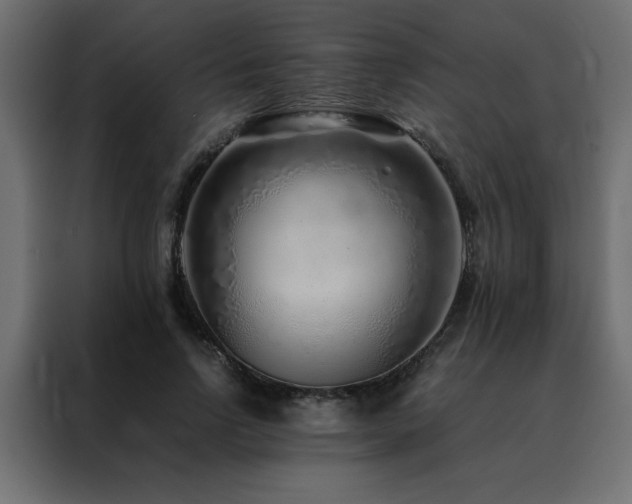 X0000088460742200705221342
