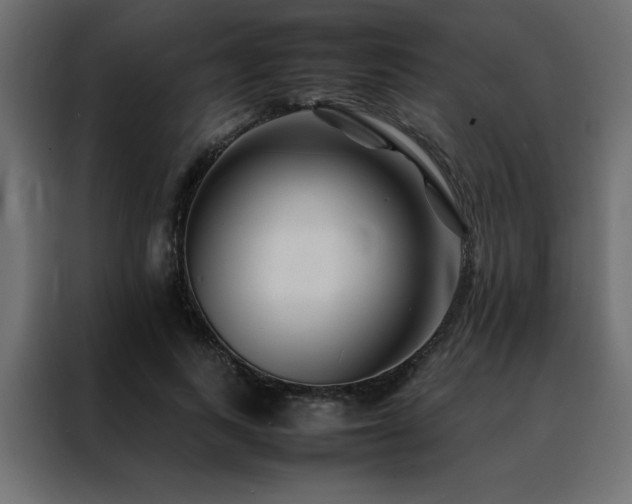 X0000088460743200705221342