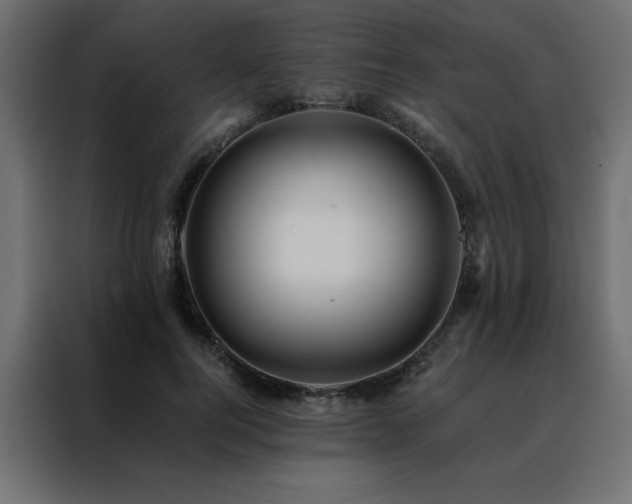 X0000088460744200705221342