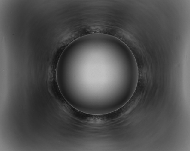 X0000088460751200705221342