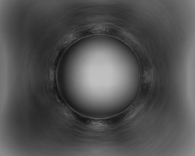 X0000088460753200705221342