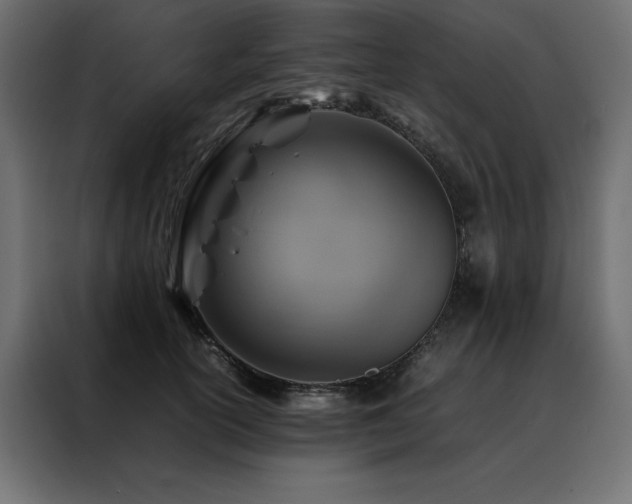 X0000088460754200705221342