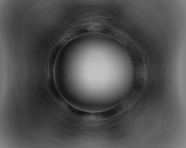 X0000088460755200705221342