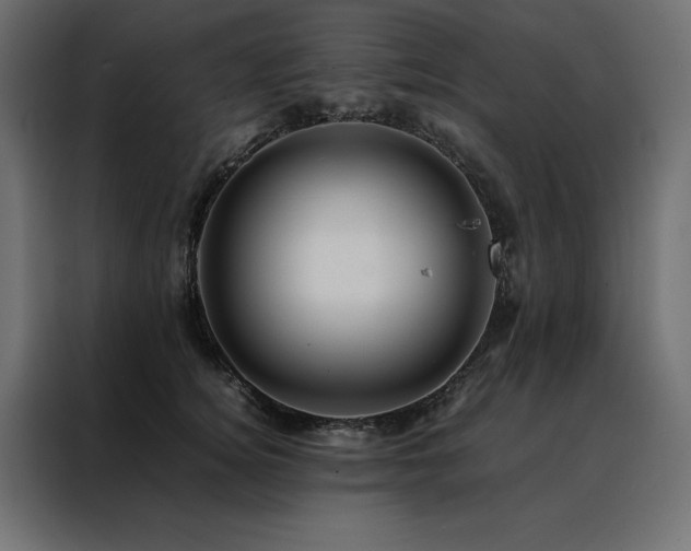 X0000088460756200705221342