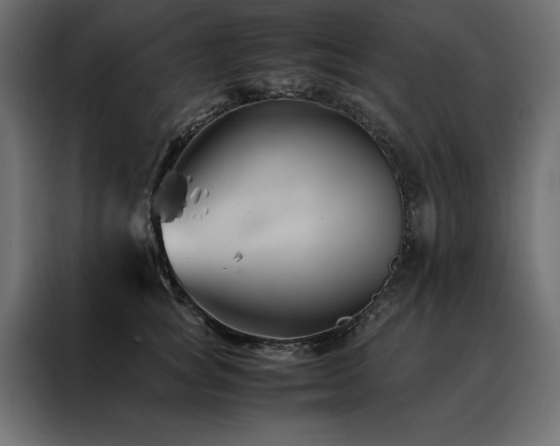 X0000088460757200705221342