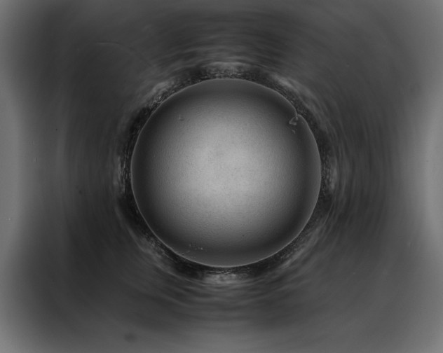 X0000088460759200705221342