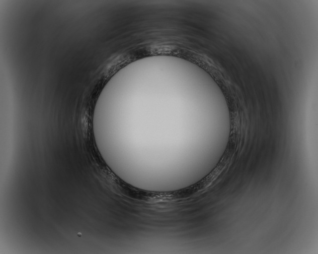 X0000088460761200705221342