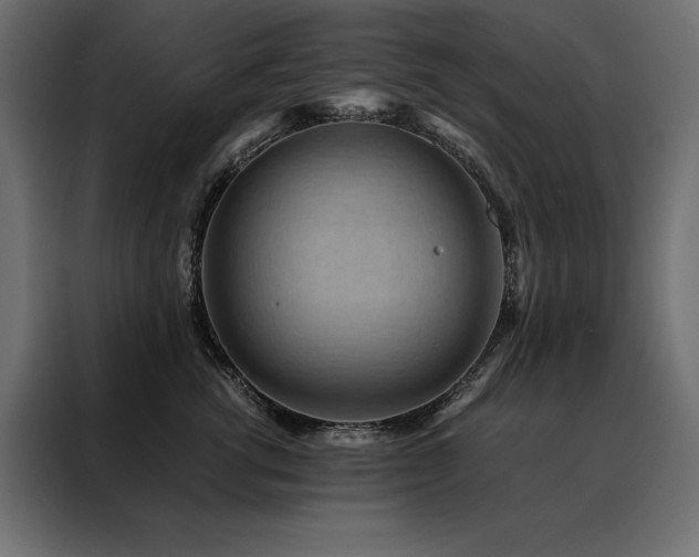 X0000088460762200705221342