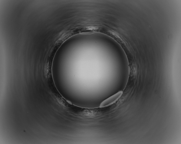 X0000088460764200705221342