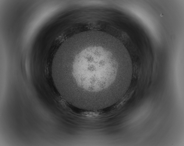 X0000088460765200705221342