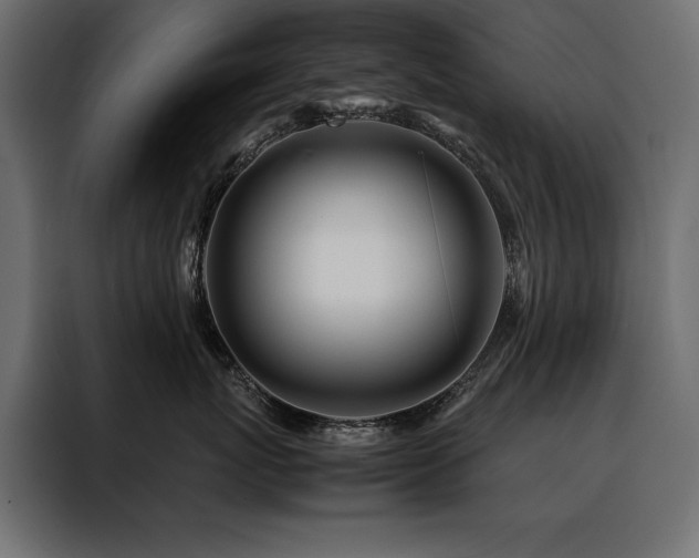 X0000088460767200705221342