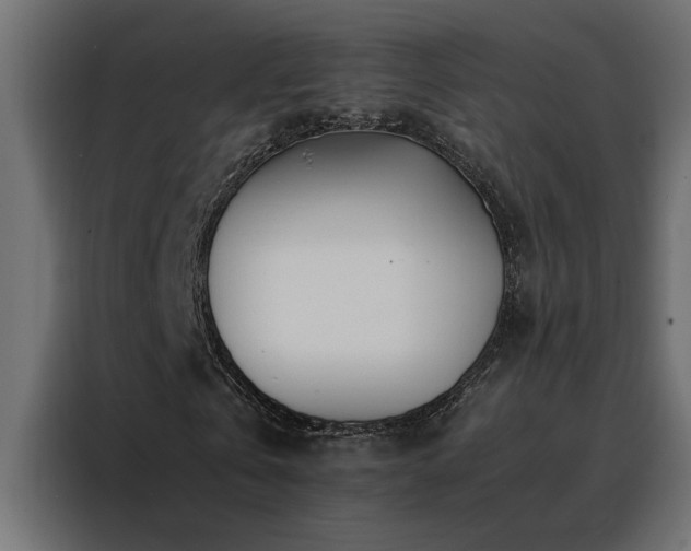 X0000088460769200705221342