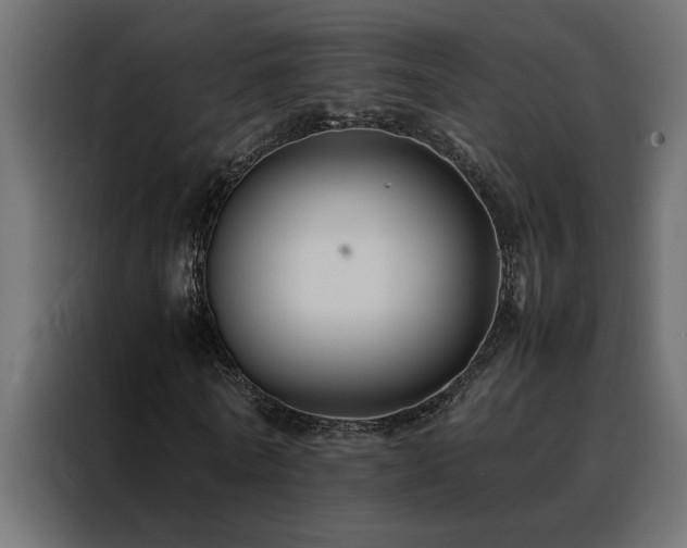 X0000088460770200705221342