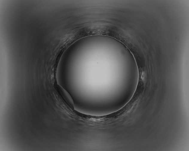 X0000088460771200705221342