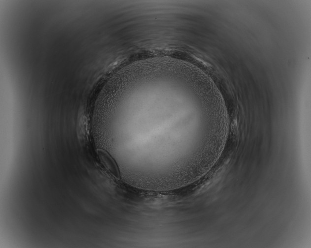 X0000088460772200705221342