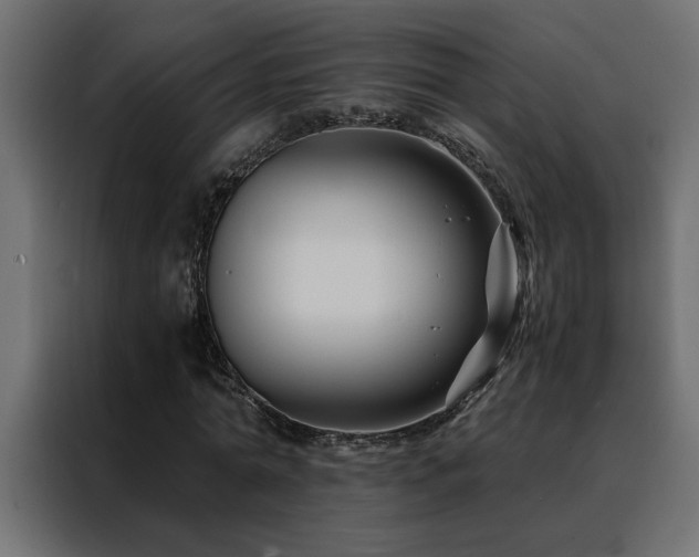 X0000088460774200705221342