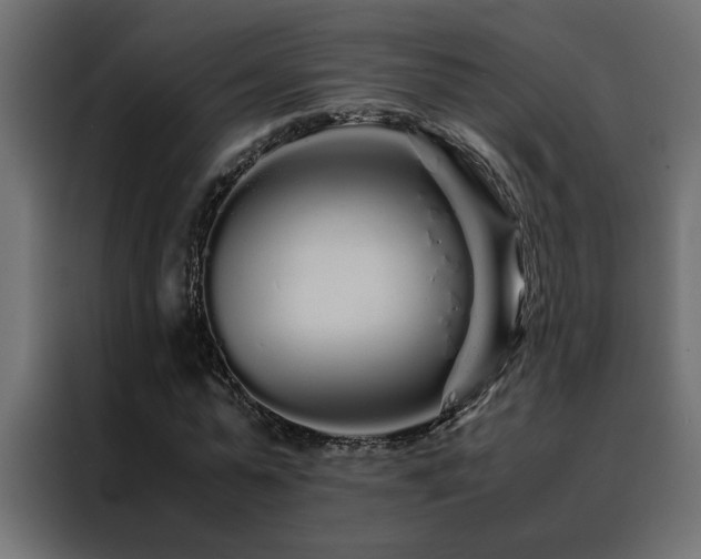 X0000088460775200705221342