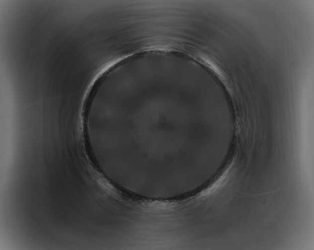 X0000088460779200705221342