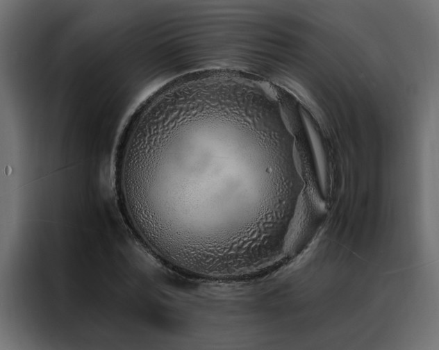 X0000088460780200705221342