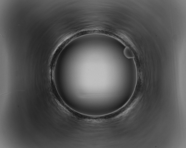 X0000088460781200705221342