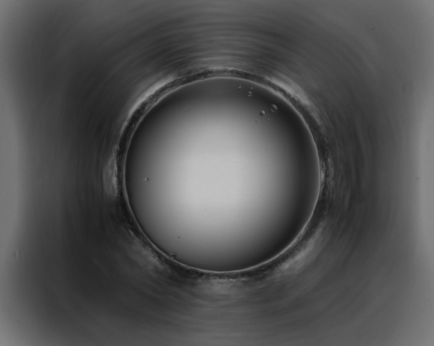 X0000088460782200705221342