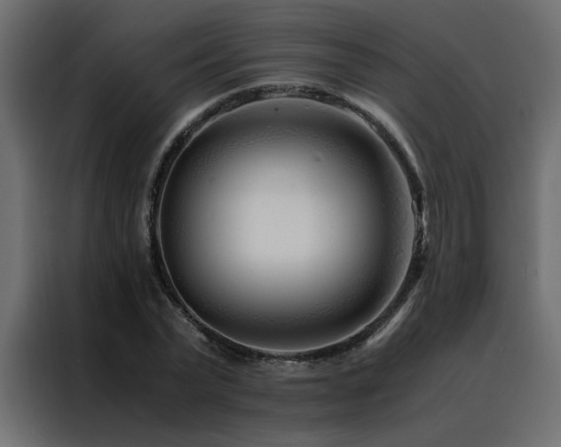 X0000088460783200705221342