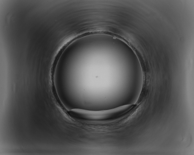 X0000088460789200705221342