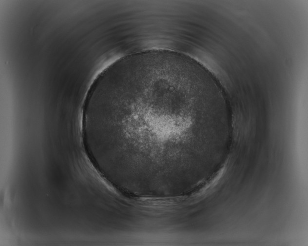 X0000088460790200705221342