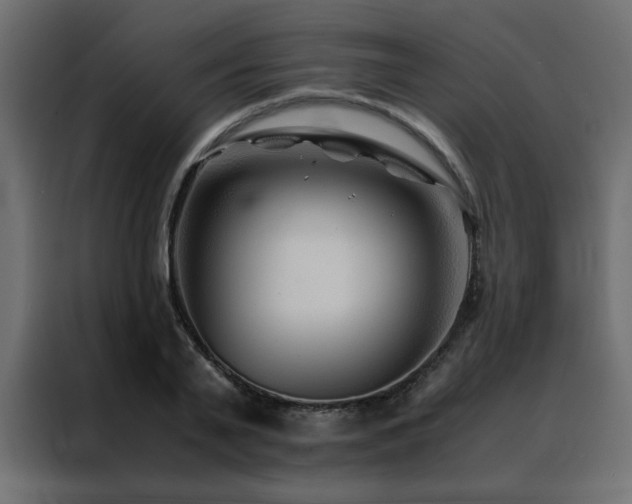 X0000088460791200705221342