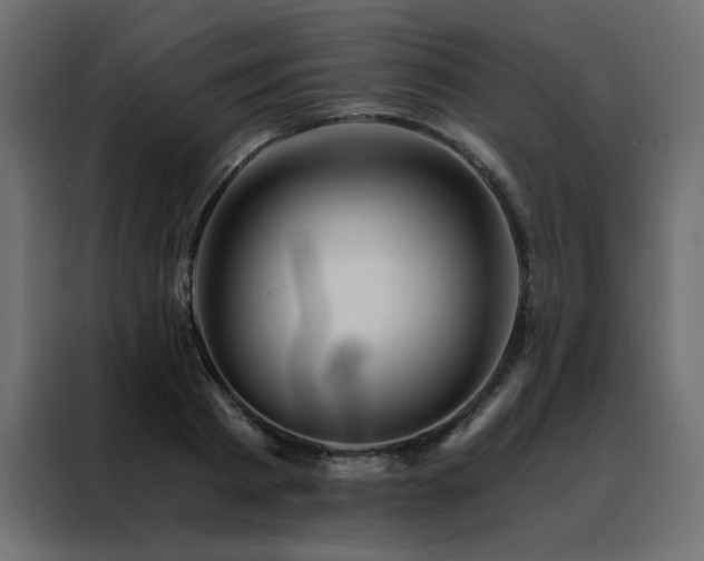 X0000088460793200705221342