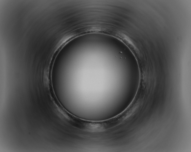 X0000088460794200705221342