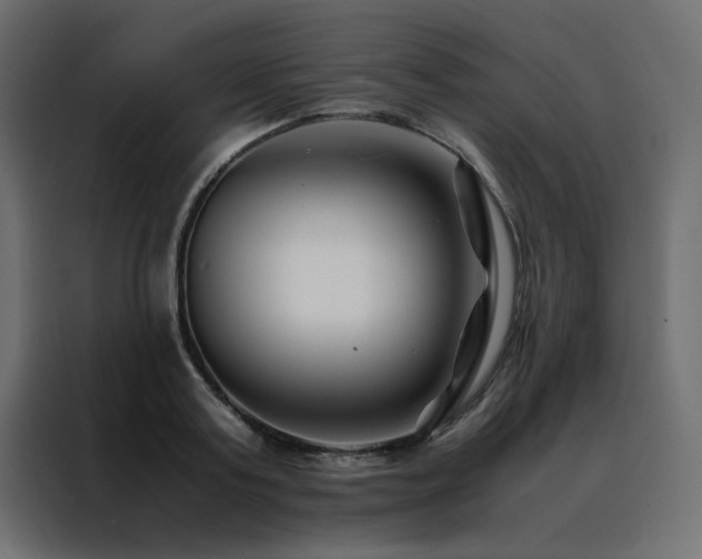 X0000088460795200705221342