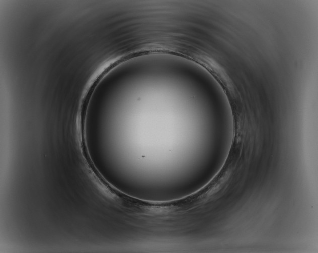 X0000088460796200705221342