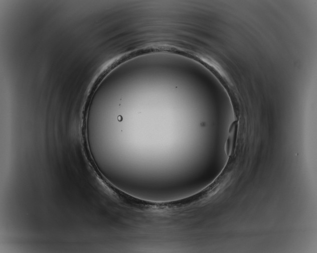 X0000088460799200705221341