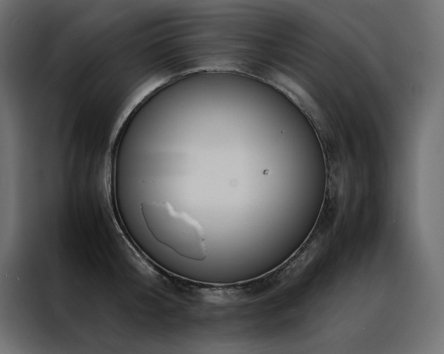 X0000088460804200705221341
