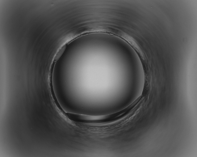 X0000088460805200705221341