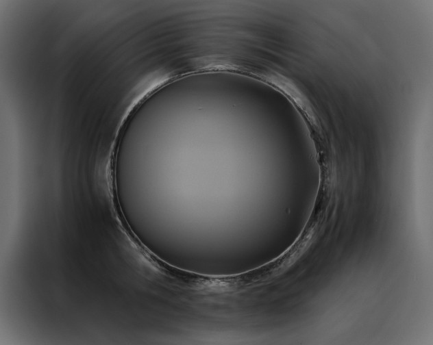 X0000088460806200705221341