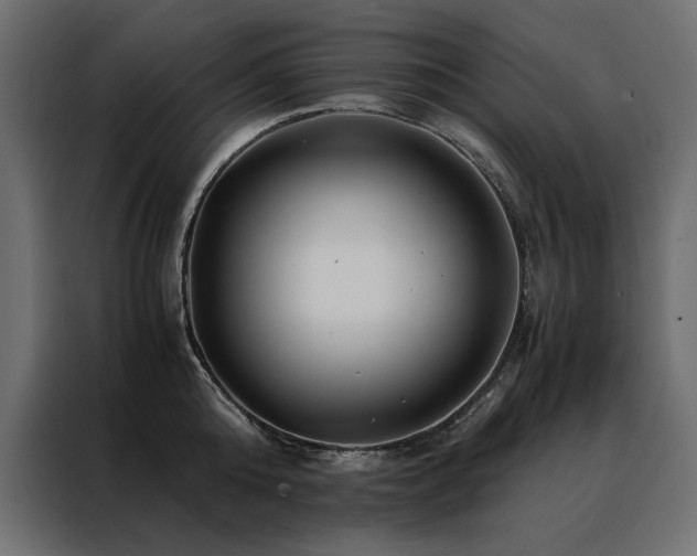 X0000088460808200705221341