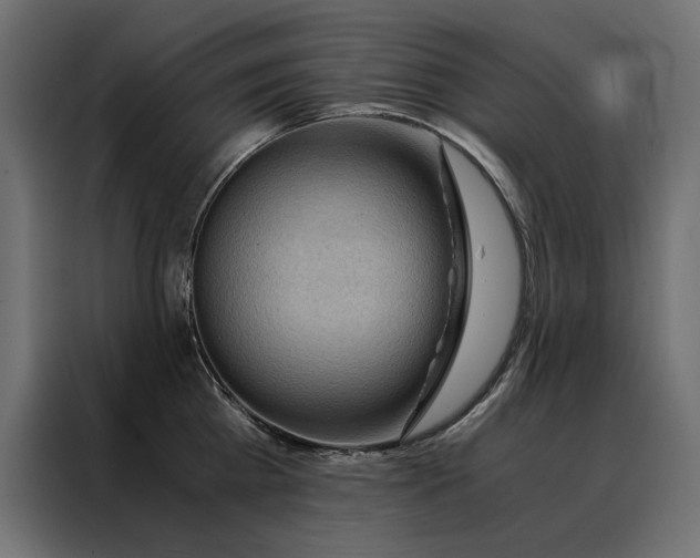 X0000088460809200705221341