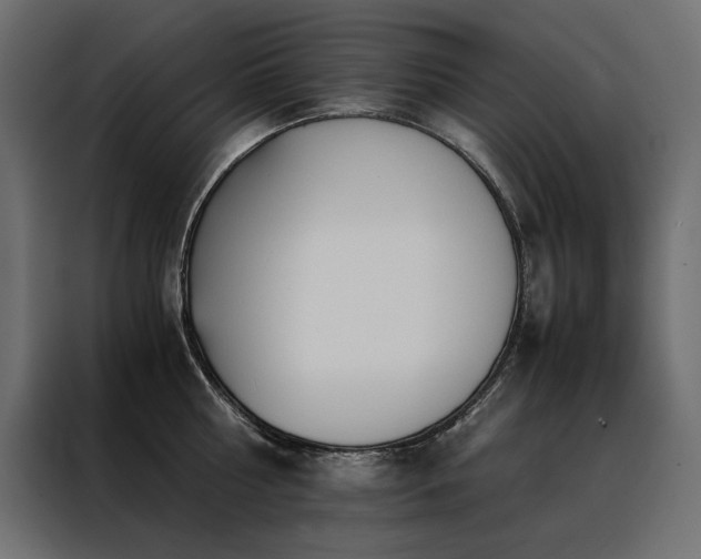 X0000088460810200705221341