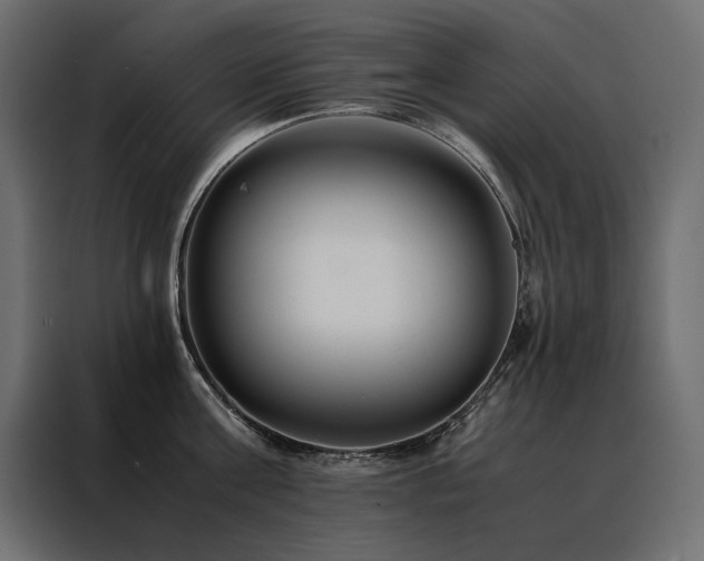 X0000088460811200705221341