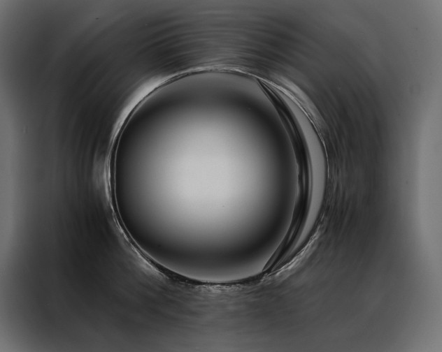 X0000088460812200705221341