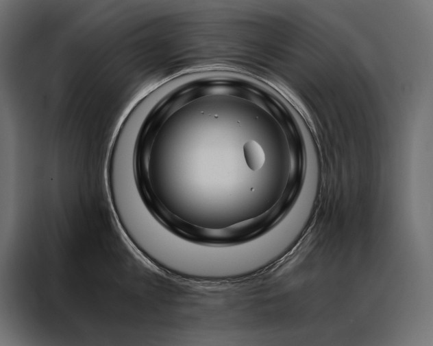 X0000088460813200705221341